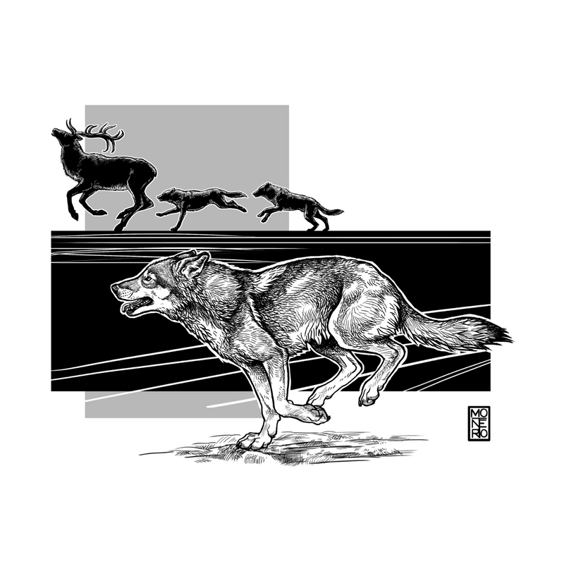 Guardian Series Illustrated Artwork