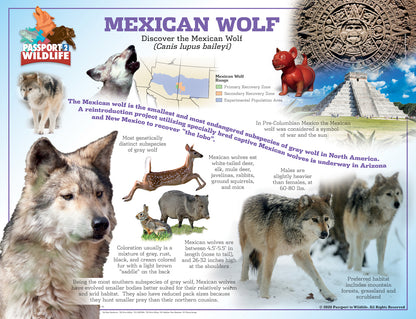 P2W North America Wolf Species Laminated Posters