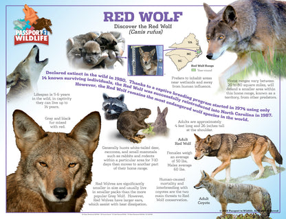 P2W North America Wolf Species Laminated Posters
