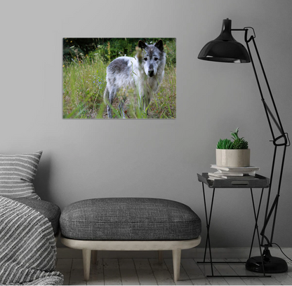 Sanctuary Series Metal Art: Piyip & The Owyhee Pack