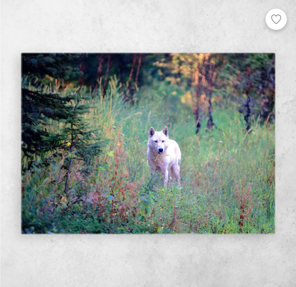 Sanctuary Series Metal Art: Piyip & The Owyhee Pack