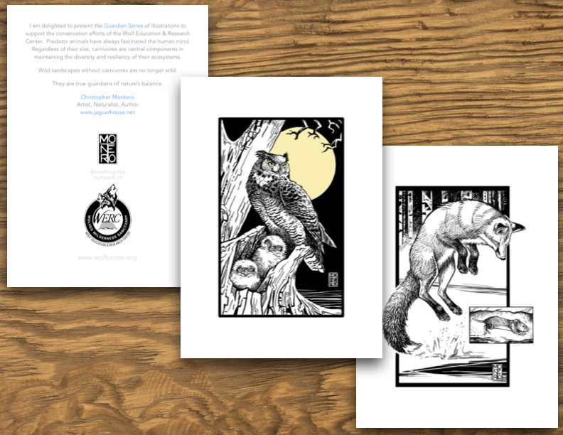 Guardian Series Illustrated 5x7 Notecards