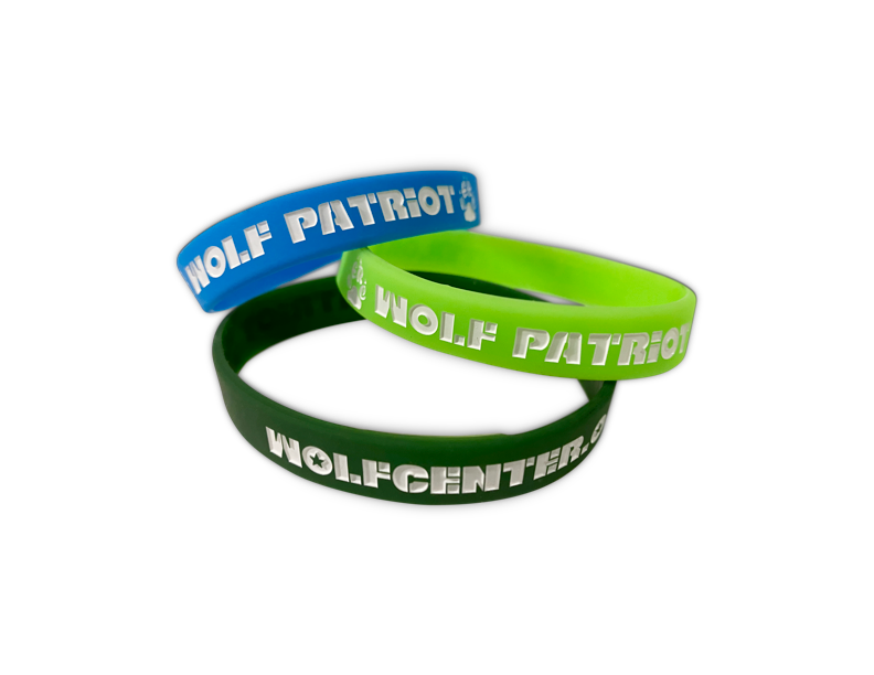 Wolf Camp Patriot Bracelet Youth