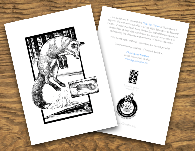 Guardian Series Illustrated 5x7 Notecards