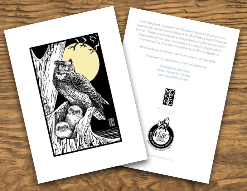 Guardian Series Illustrated 5x7 Notecards