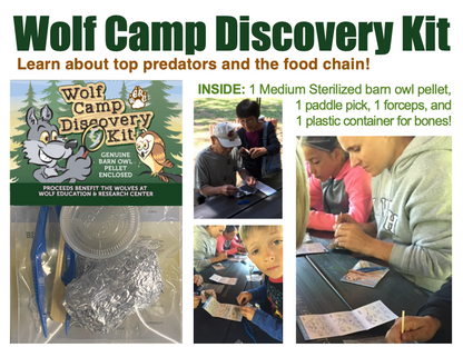 Wolf Camp Owl Pellet Kit